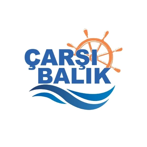 Güvenlik Şartları